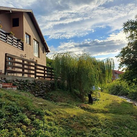 Appartamento Casa Radu Novaci-Străini Esterno foto
