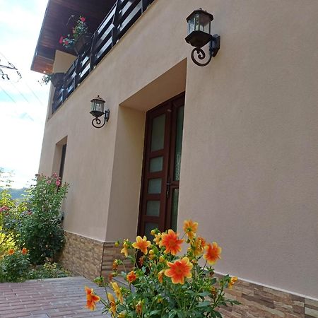 Appartamento Casa Radu Novaci-Străini Esterno foto