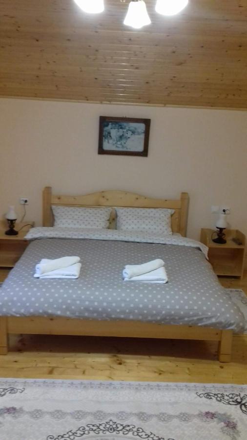 Appartamento Casa Radu Novaci-Străini Esterno foto