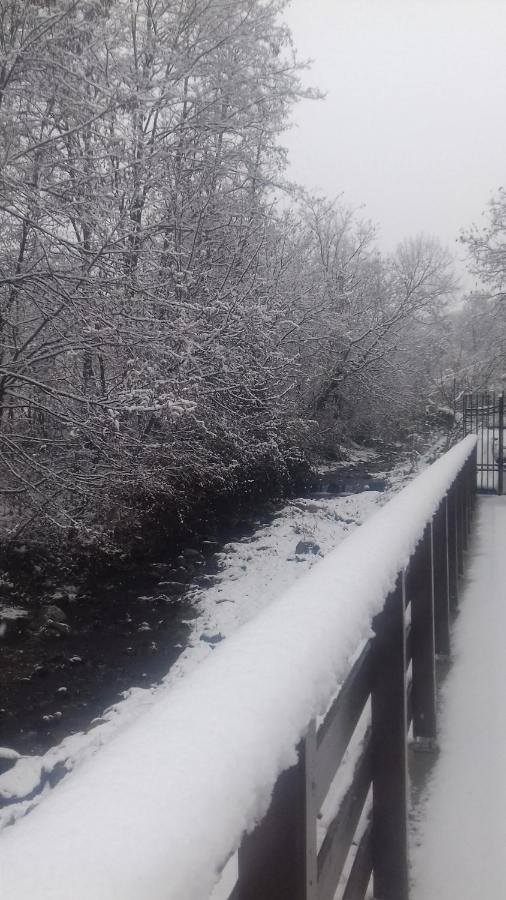 Appartamento Casa Radu Novaci-Străini Esterno foto