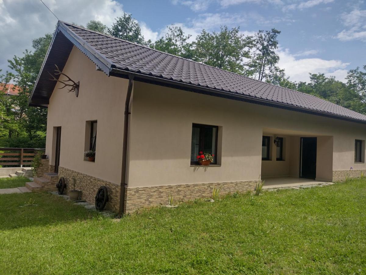 Appartamento Casa Radu Novaci-Străini Esterno foto