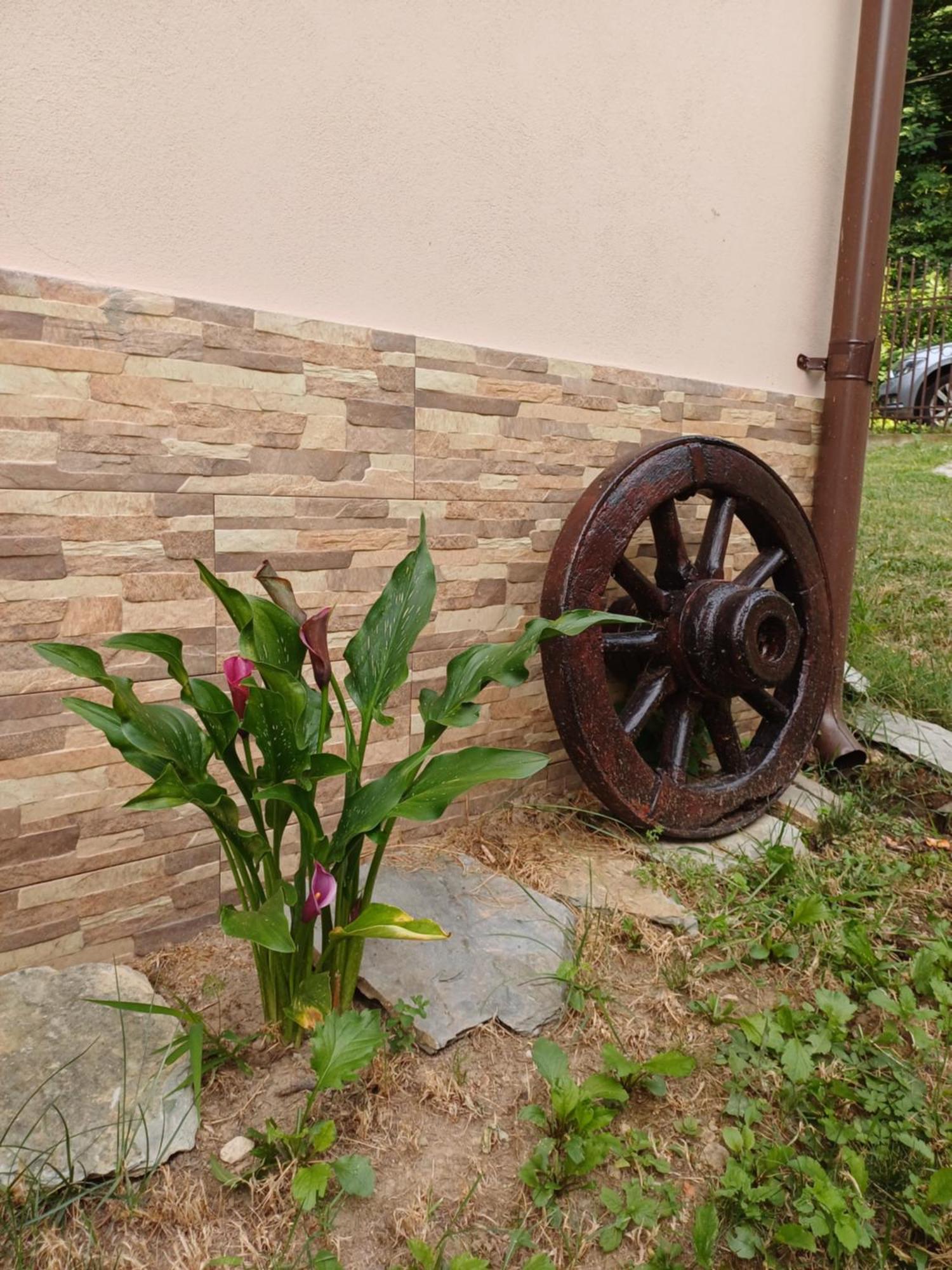 Appartamento Casa Radu Novaci-Străini Esterno foto