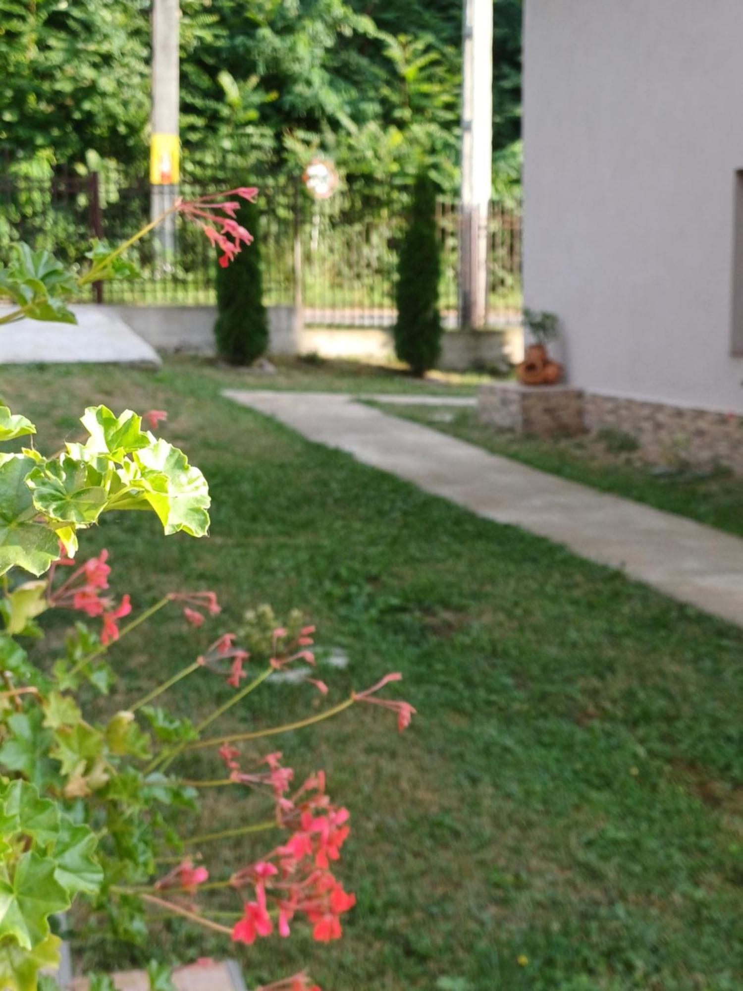 Appartamento Casa Radu Novaci-Străini Esterno foto