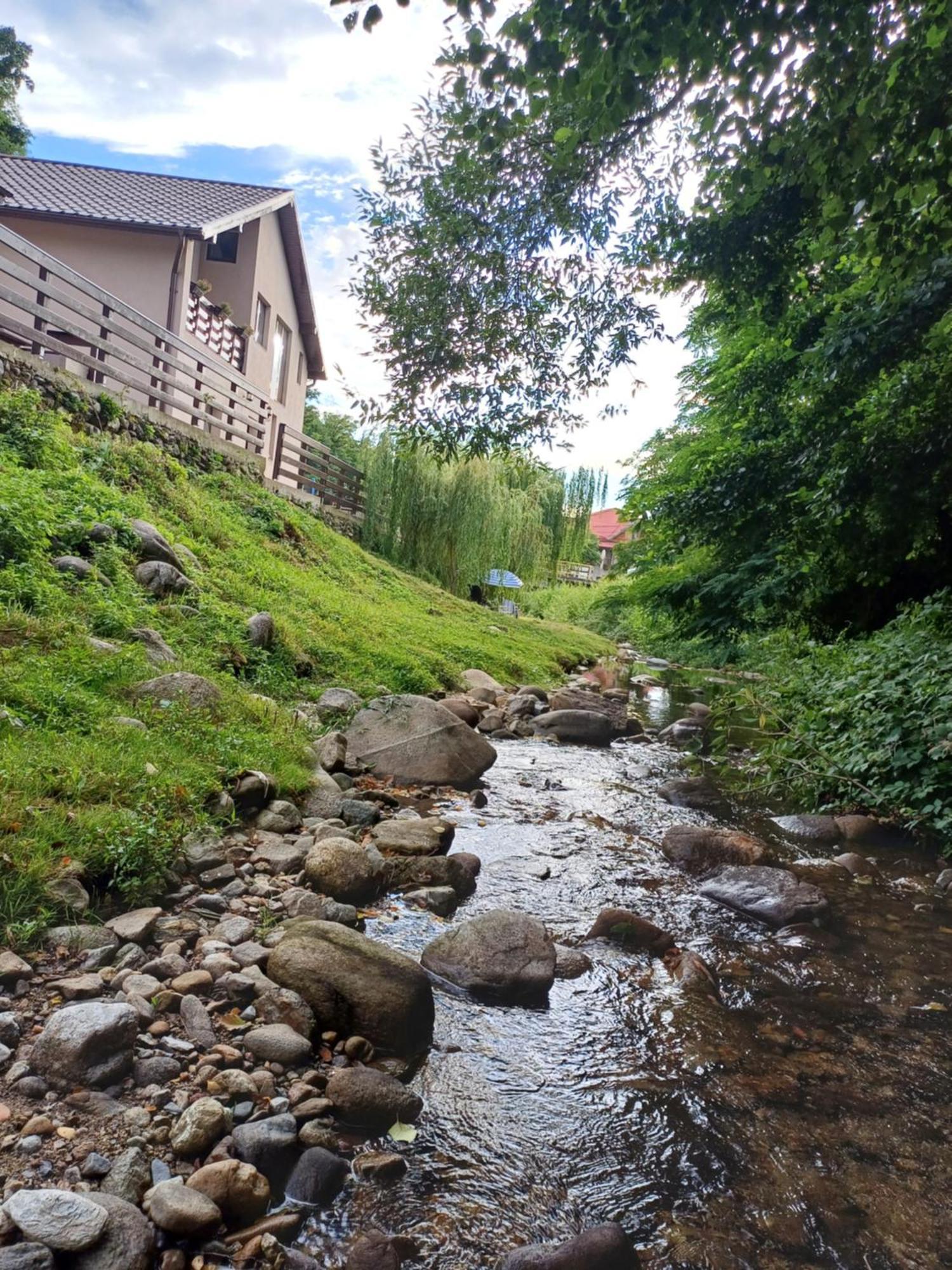 Appartamento Casa Radu Novaci-Străini Esterno foto