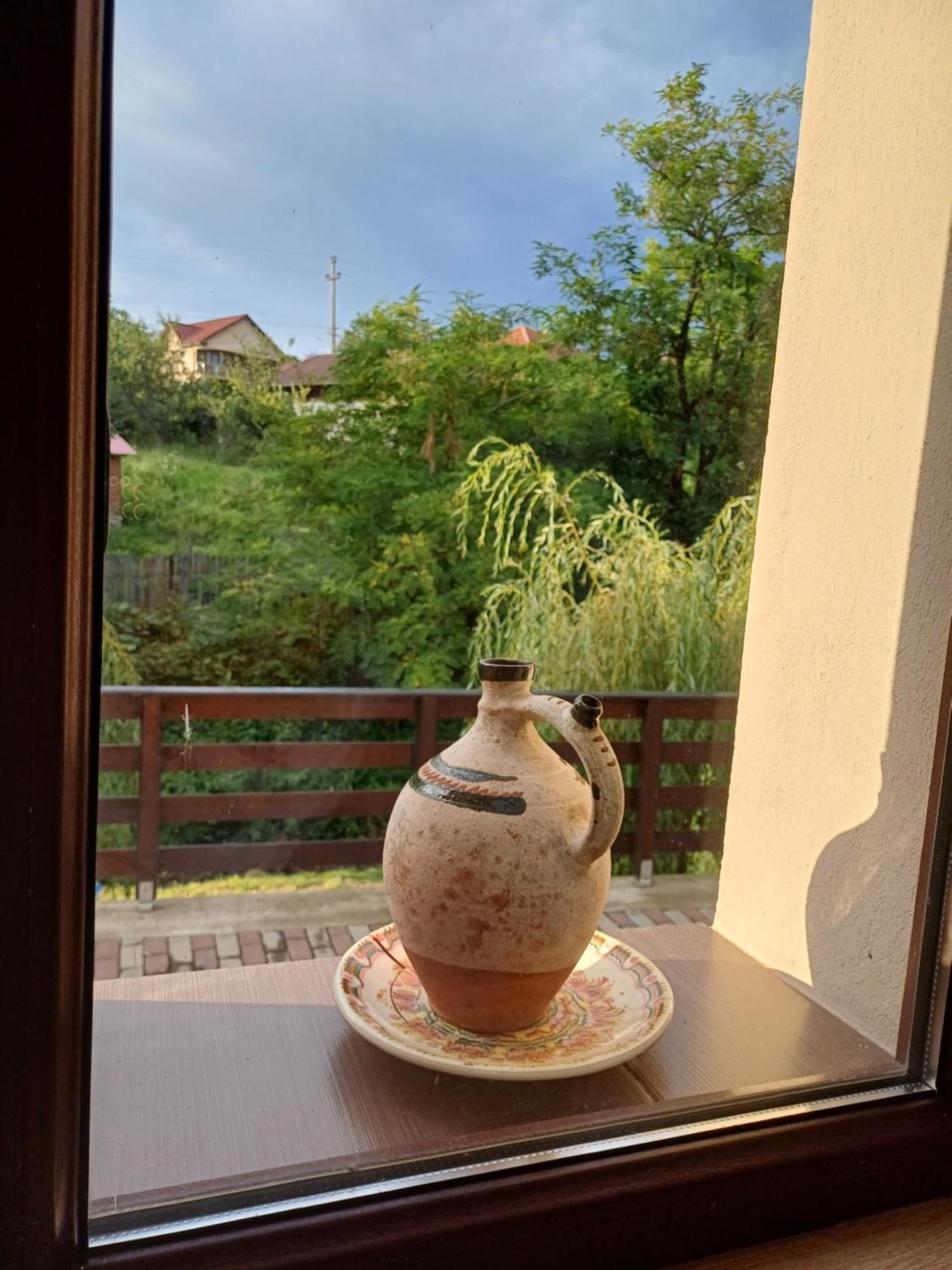 Appartamento Casa Radu Novaci-Străini Esterno foto