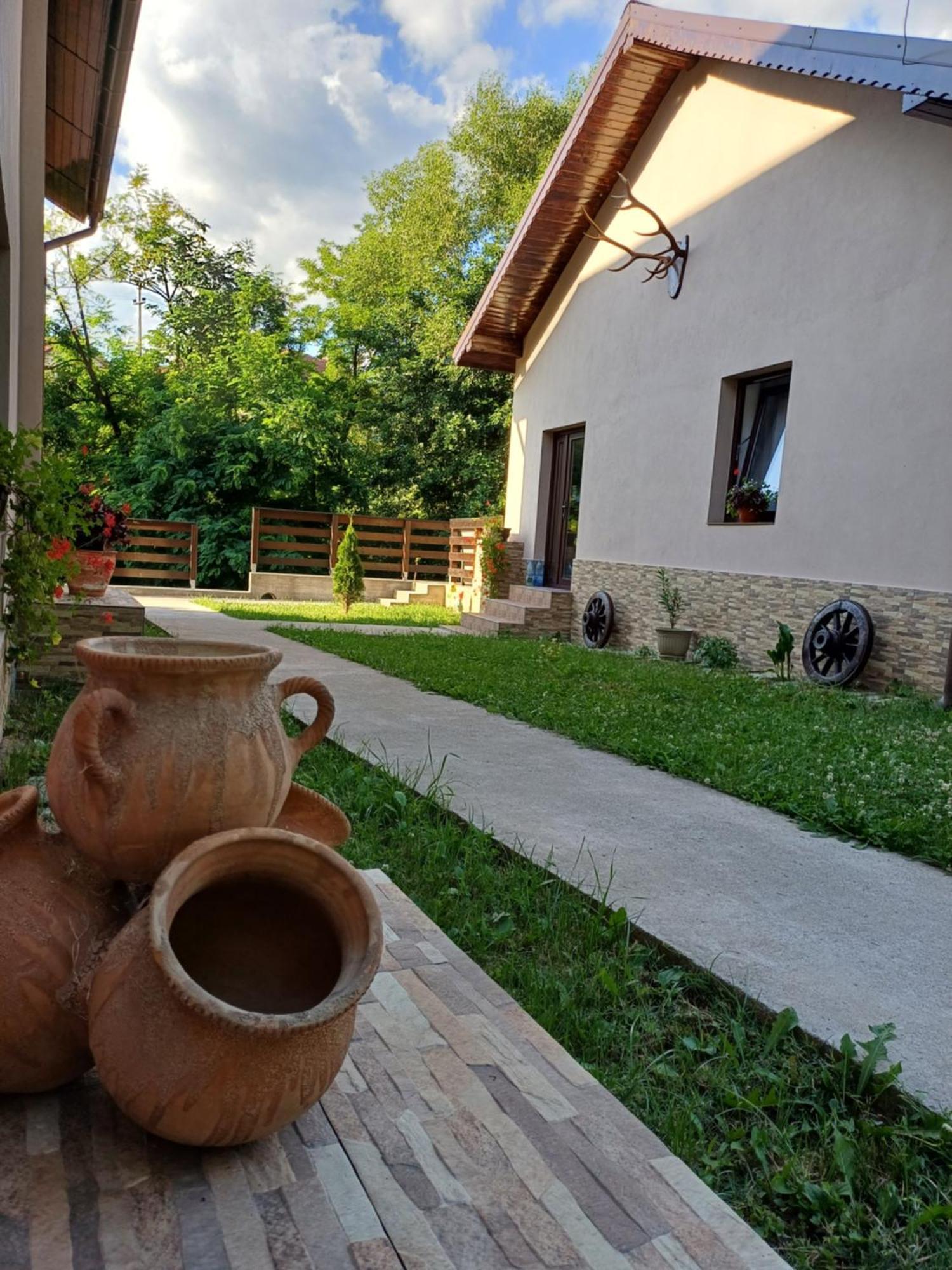 Appartamento Casa Radu Novaci-Străini Esterno foto